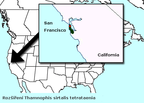 T. s. tetrataenia - mapa vskytu